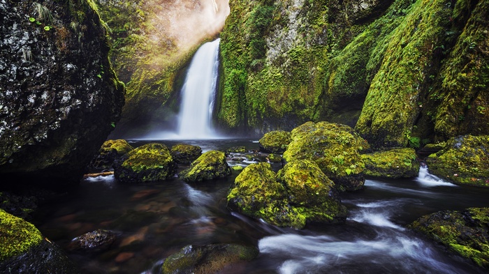 Mossy rocks and waterfall in a green forest