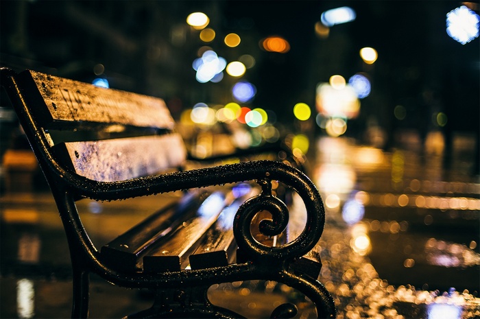 A wet park bench at night with city lights in the background