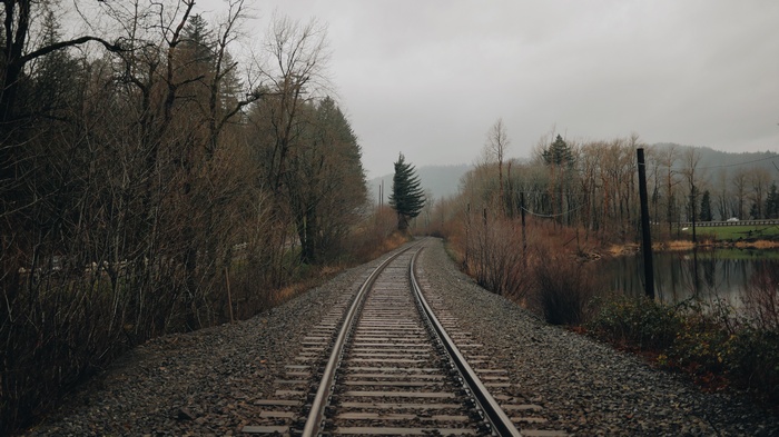 Railroad tracks curve through a forest next to a body of water