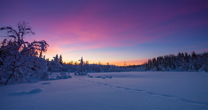 Snowy landscape at sunset with purple and pink sky
