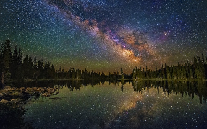 Milky Way over a forest lake at night
