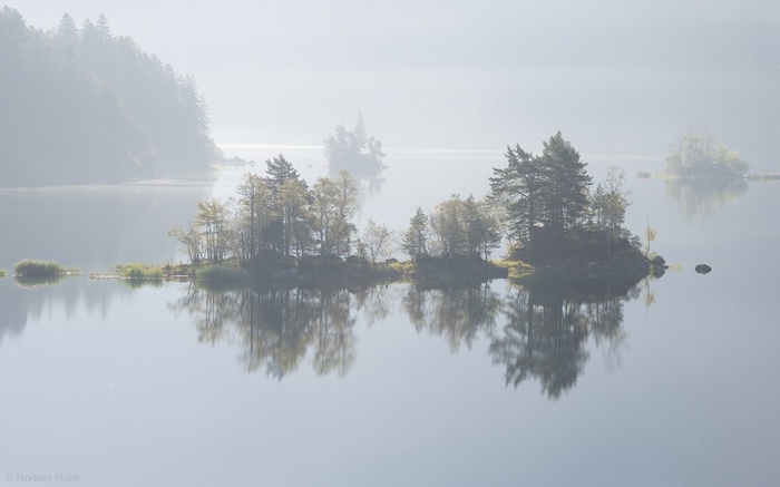 Misty lake with islands and trees reflecting in calm water