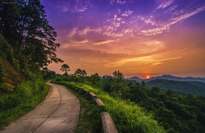 Road winding through a forest at sunset with purple and orange sky