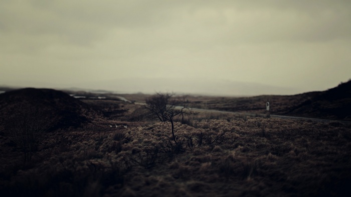 A desolate landscape with a road and a lone tree