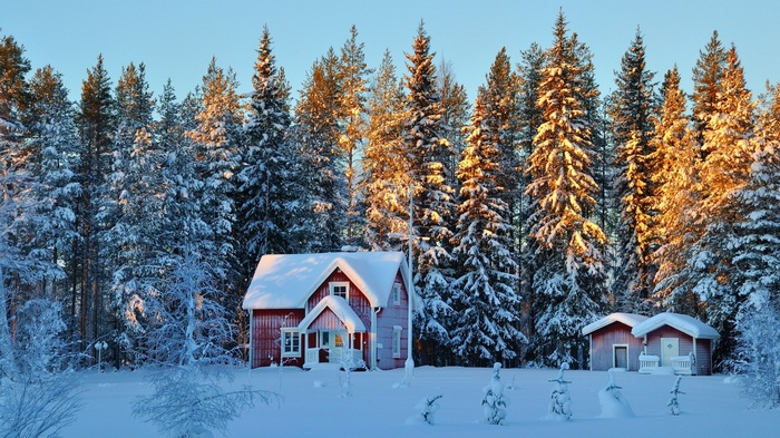 Red house in a snowy forest at sunset