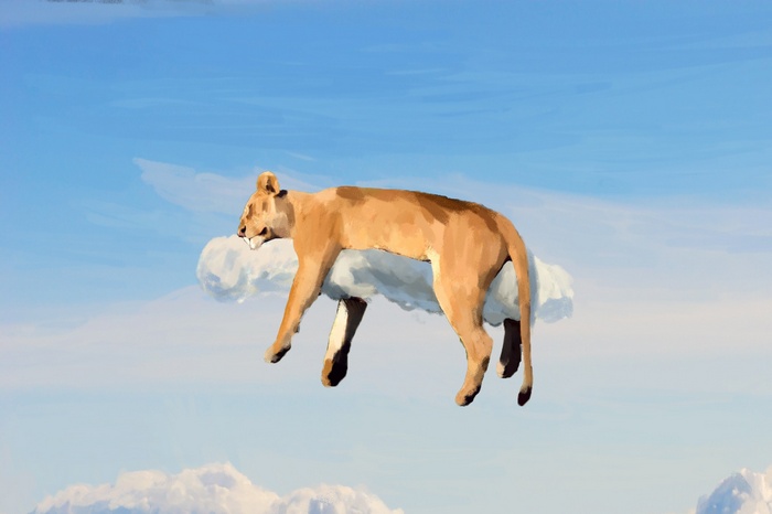 Lion sleeping on a cloud in the sky