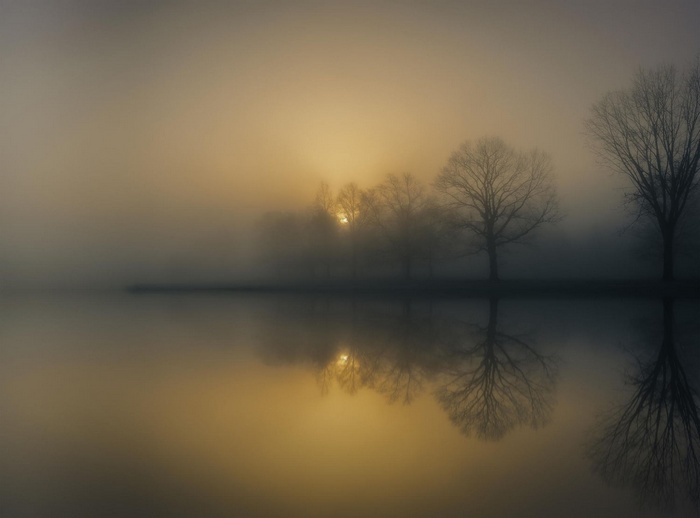 Misty lake with trees reflecting at sunrise