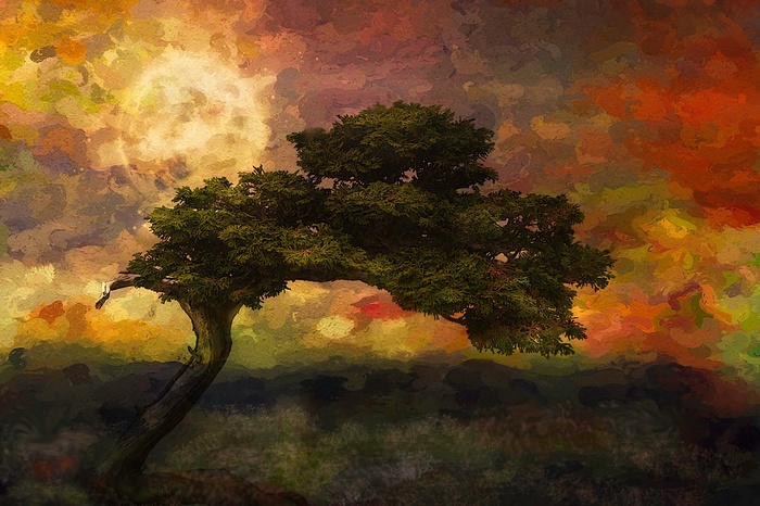 Painting of a lone tree under a colorful sky