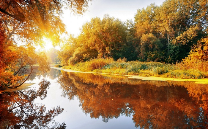 Autumn trees reflecting in a calm river at sunset