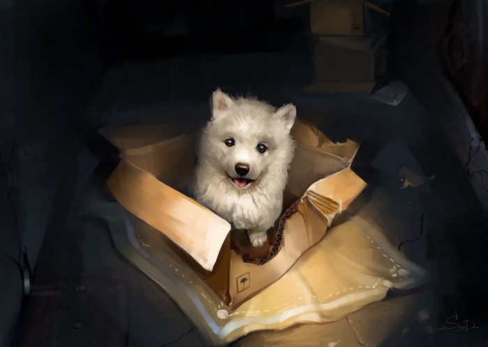 A fluffy white puppy sits in a cardboard box.