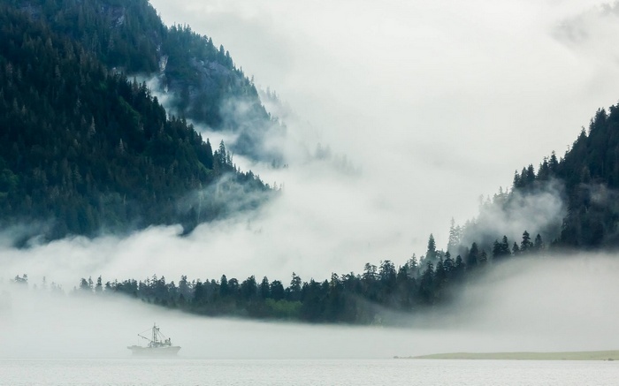 Boat in misty mountains and forest landscape