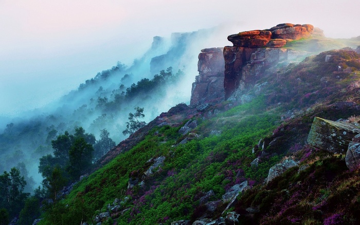 Misty cliffs and heather-covered hills at sunrise