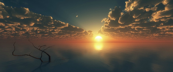 Sunset over the ocean with clouds and a dead tree