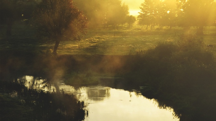 Misty morning river in Poland with sunbeams