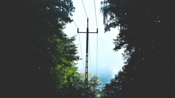 Power lines in a forest in Poland