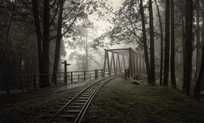Train tracks leading to a bridge in a foggy forest