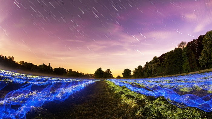 Long exposure of a field with light trails under starry sky