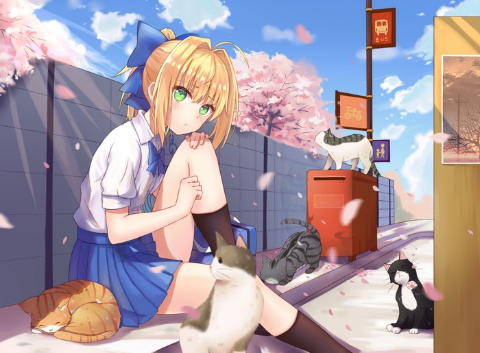 Saber from Fate/Stay Night with cats under cherry blossoms