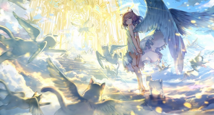 Anime angel girl with cat ears and winged cats in heaven