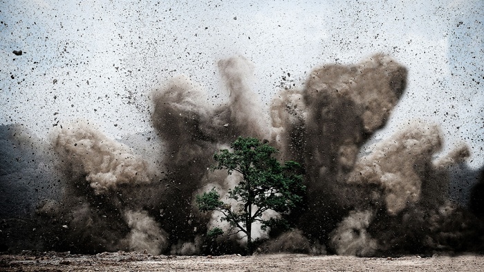 Tree amidst a massive dust explosion