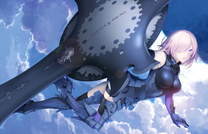 Shielder (Fate/Grand Order) in the Sky