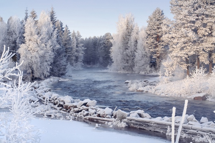 Winter river landscape with frosted trees