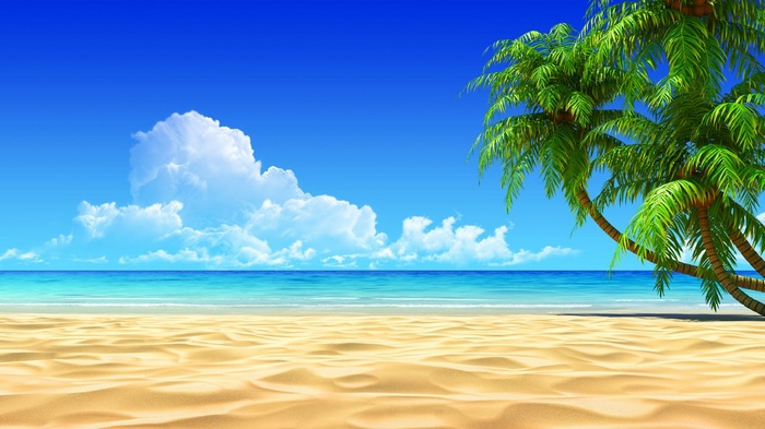 Beach with sand, ocean, clouds, and palm trees