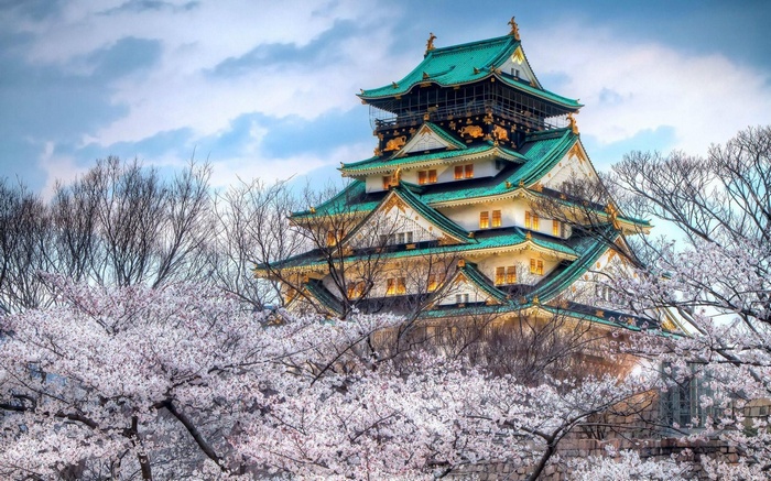 Osaka Castle surrounded by cherry blossoms in Japan