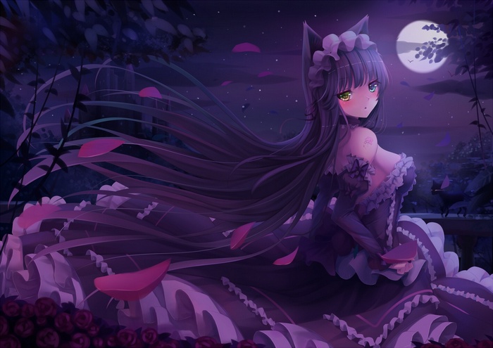 anime, purple hair, nekomimi, long hair, green eyes, Moon, anime girls, night, animal ears