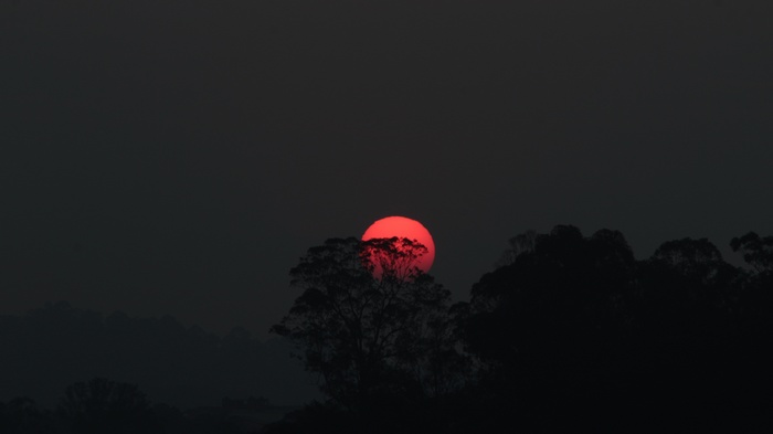 Red sun setting behind silhouetted trees