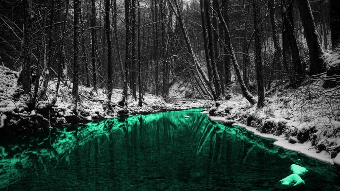 Snowy forest with a vibrant green river and reflections