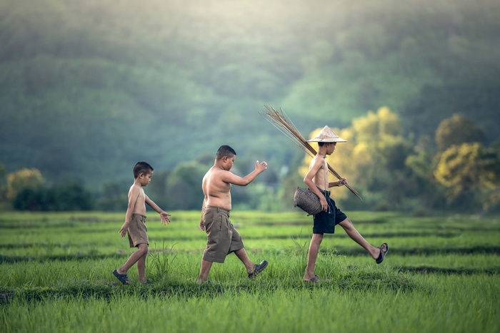 Three boys walking through a rice field in Thailand