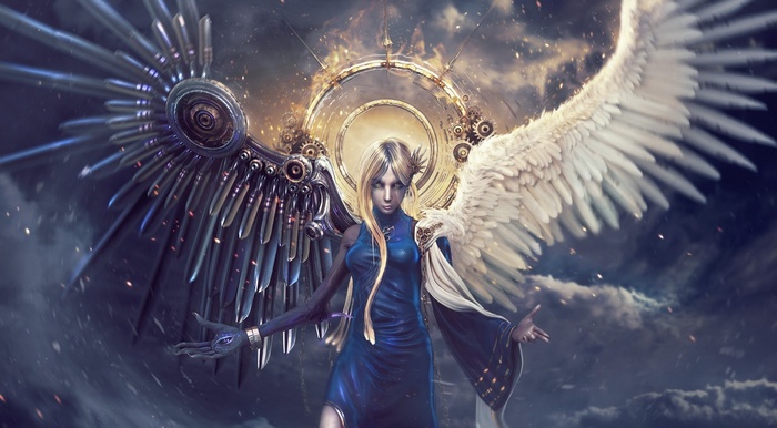 Fantasy girl with mechanical and feathered wings
