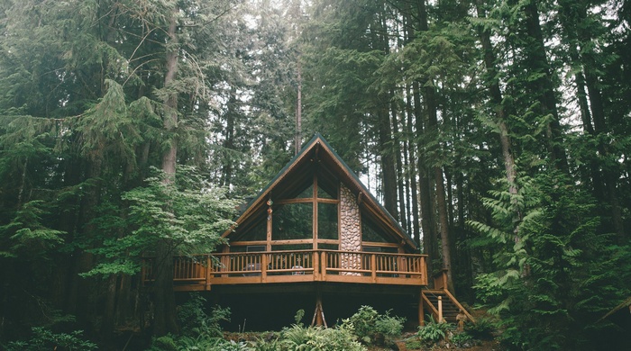 A-frame cabin in a dense forest