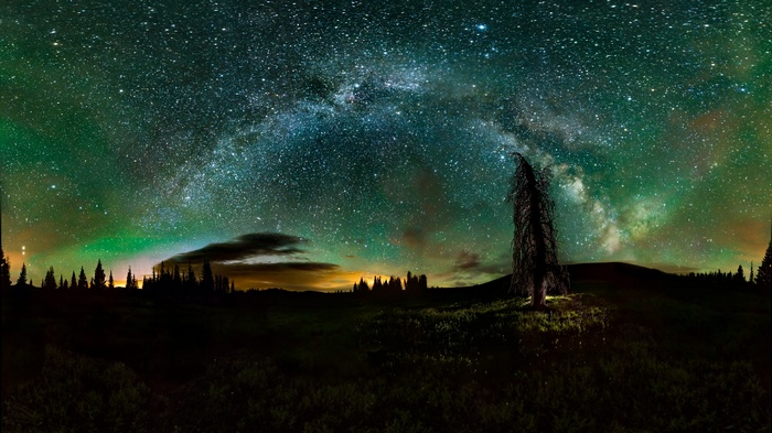 Night sky with Milky Way and aurora over trees