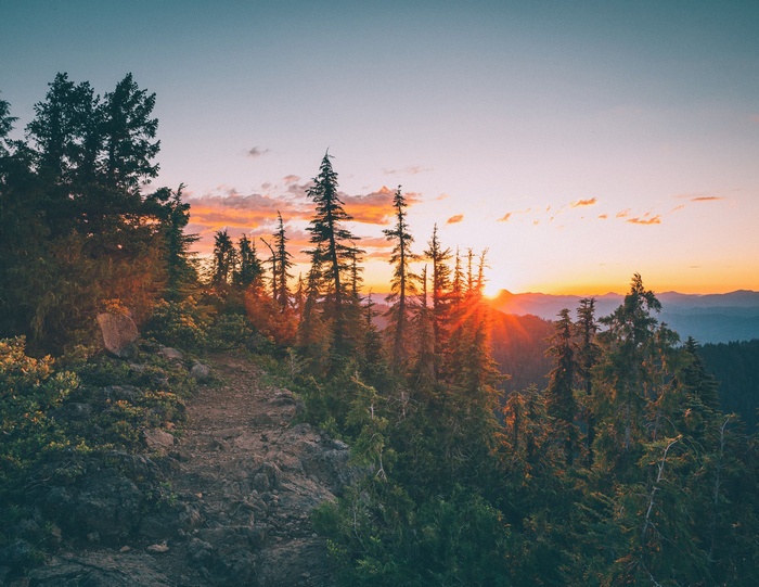 Sunset over a mountain forest landscape