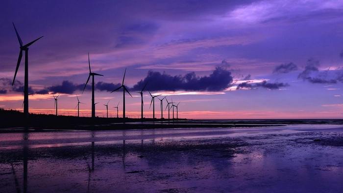 Wind turbines on a beach at sunset with purple sky