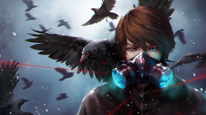 birds, raven, anime