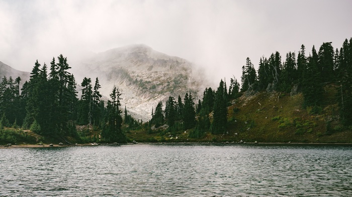 Lake and misty mountains with pine trees