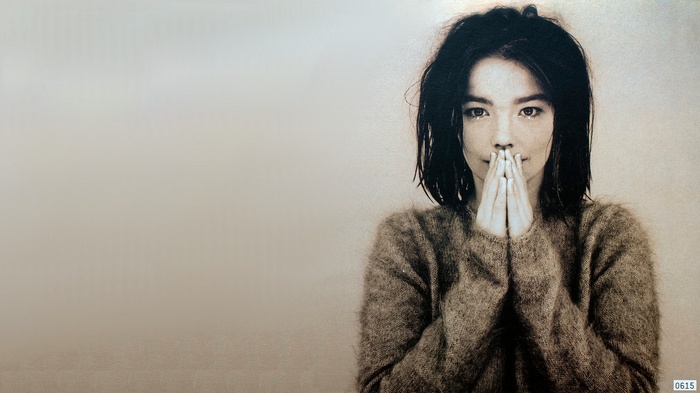 Björk in a fuzzy sweater