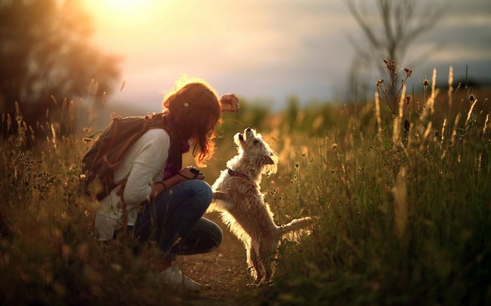 Woman and dog playing at sunset in a field