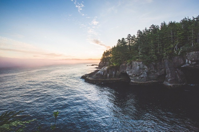 Ocean cliffs with evergreen trees at sunset