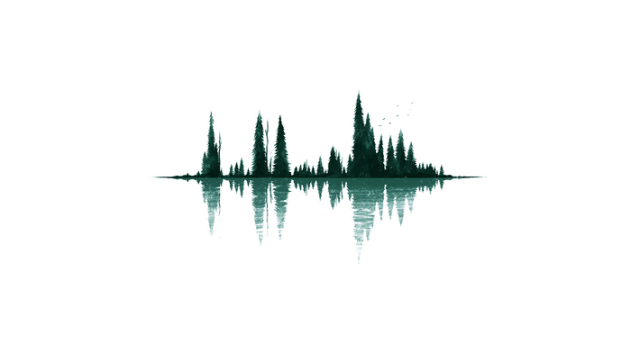 Minimalist forest with reflection and birds