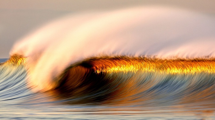 Golden wave cresting with spray at sunset