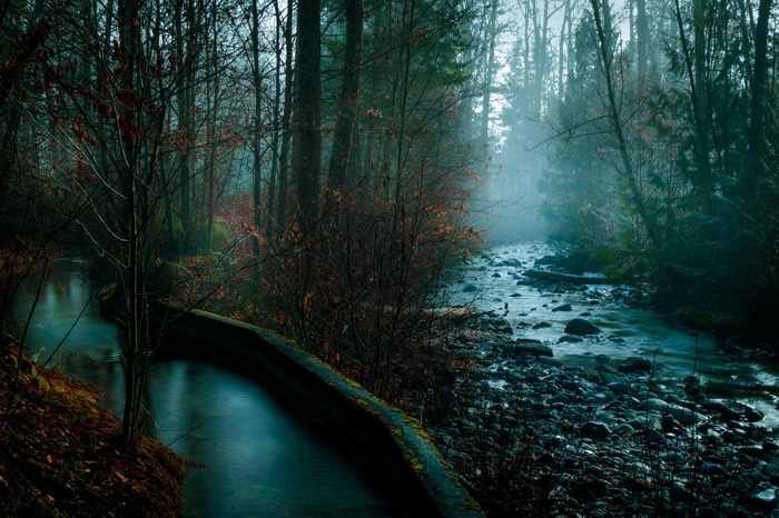 Misty forest river with rocks and trees