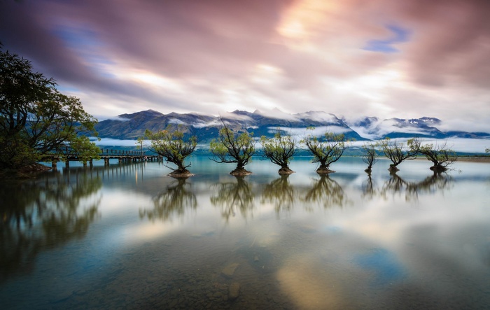 Trees in Lake with Mountains and Pier