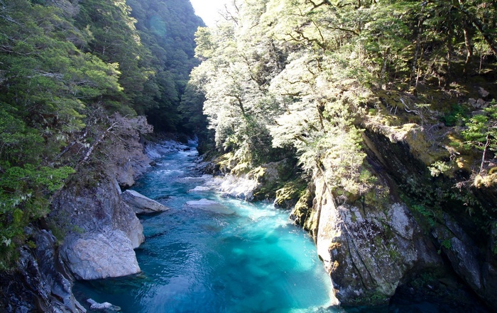 Turquoise river flowing through a dense forest canyon