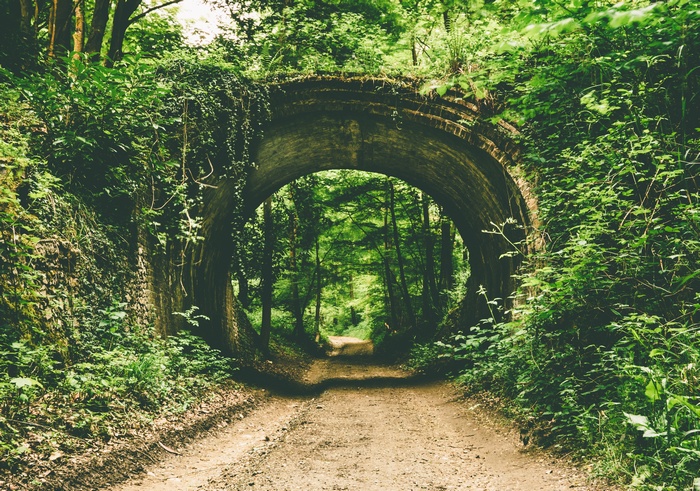 Overgrown brick tunnel on a forest path