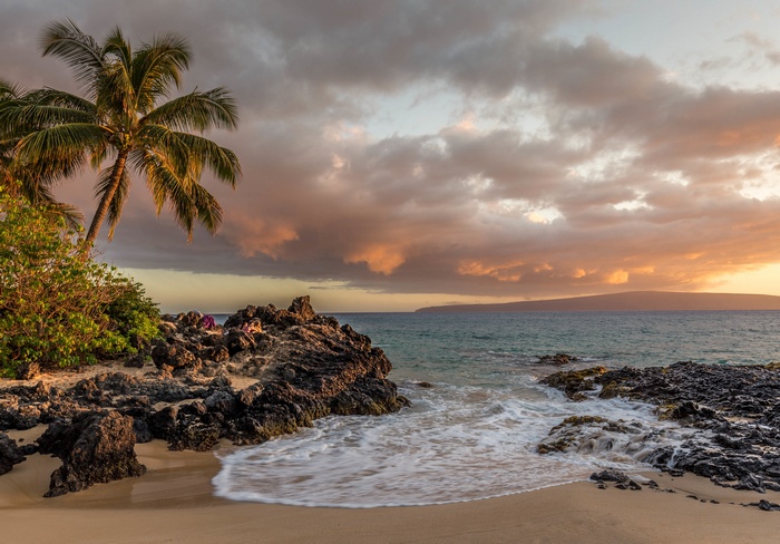 Palm trees on a rocky beach at sunset with clouds
