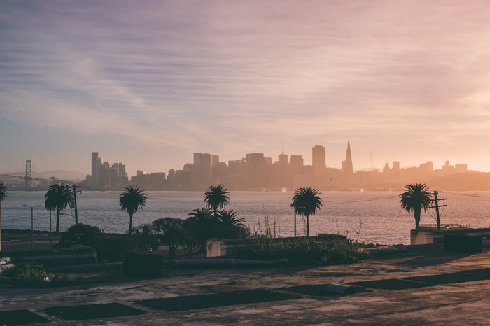 San Francisco skyline with palm trees at sunset